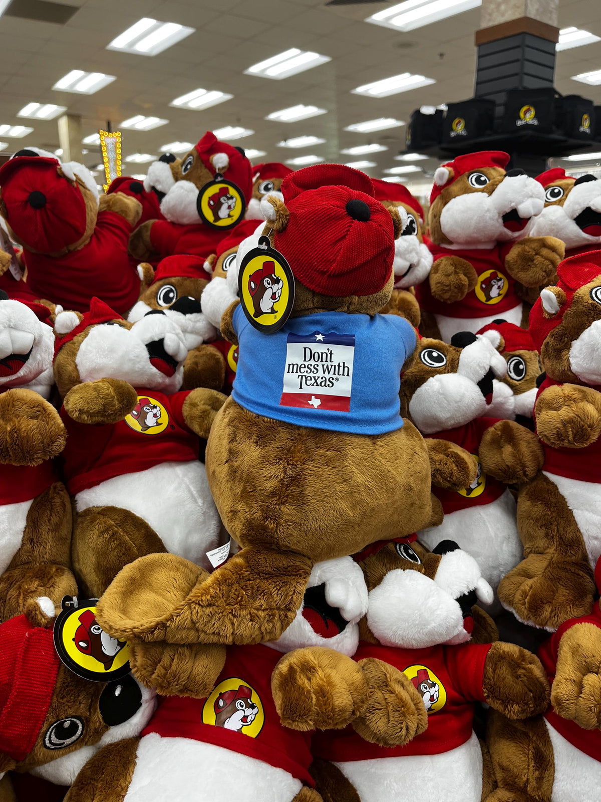 Buc-ees Plush, Stuffed Animal, Blue Tshirt reads “Don’t Mess With Texas”, Texas Flag Tshirt, Birthday Gift, Valentines Gift, Collectible 12"